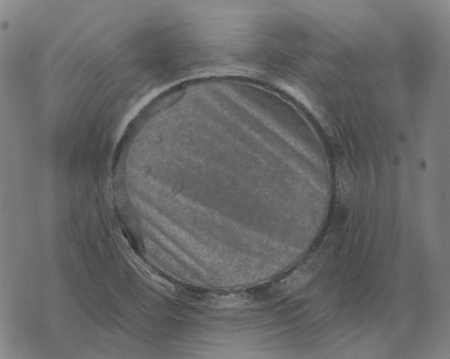 X0000073531460200608211817