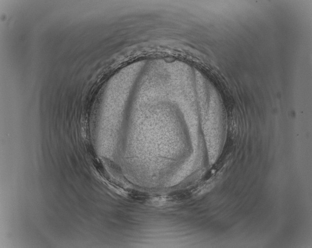 X0000073531490200608211816