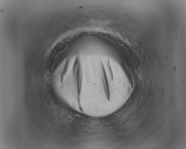 X0000073531495200608211816