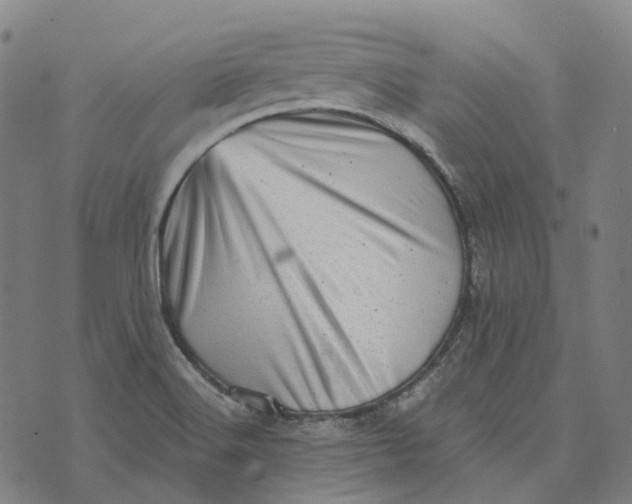 X0000073531516200608211817