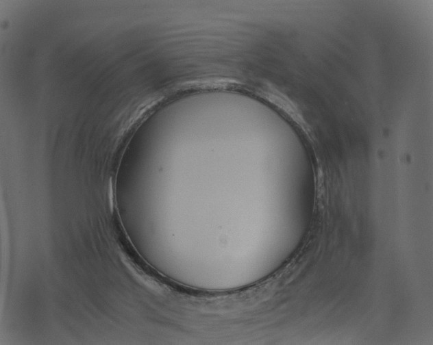 X0000073530013200608281603
