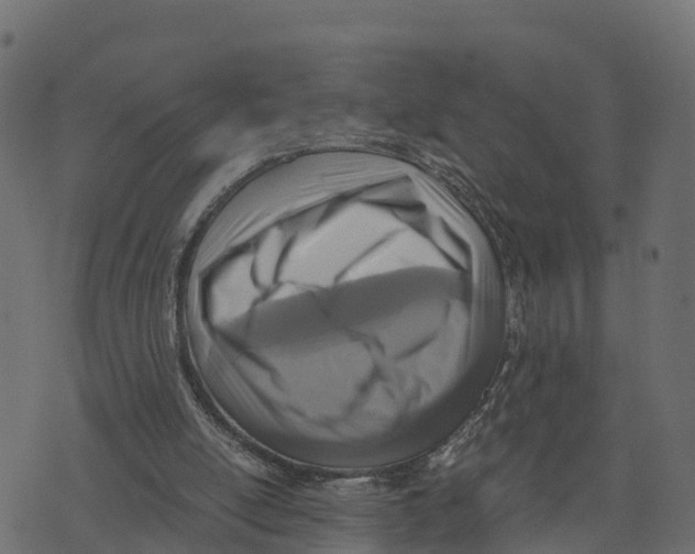 X0000073530054200608281602