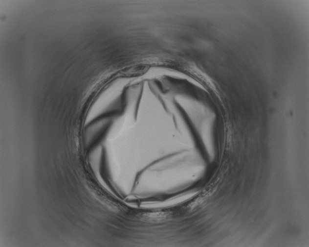 X0000073530059200608281602