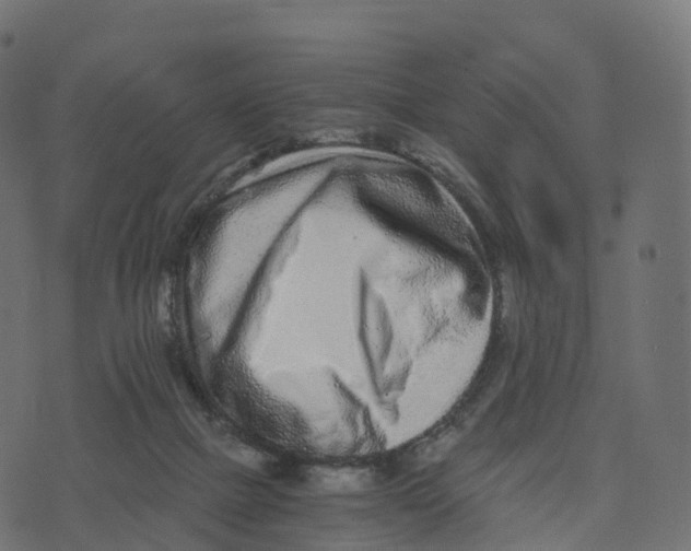 X0000073530073200608281602