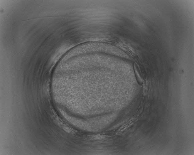 X0000073530098200608281601