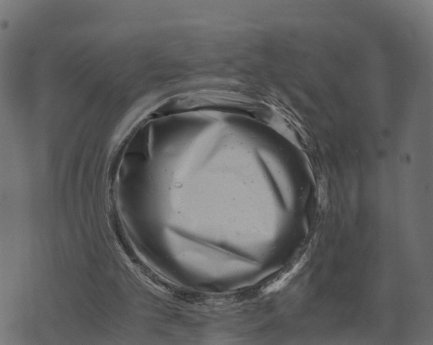 X0000073530101200608281601