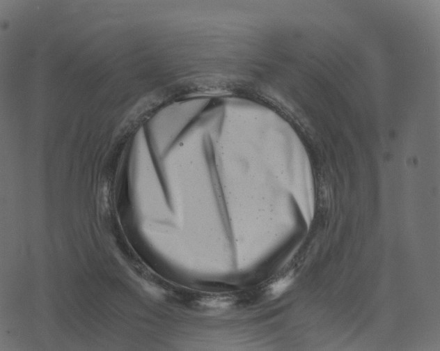 X0000073530117200608281601