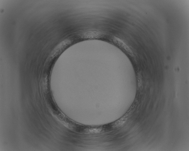 X0000073530163200608281600