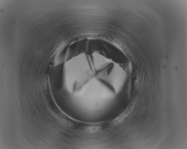 X0000073530168200608281600