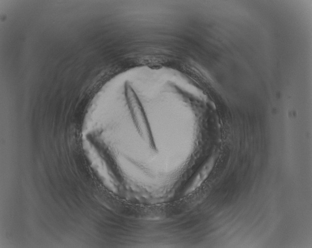 X0000073530169200608281600