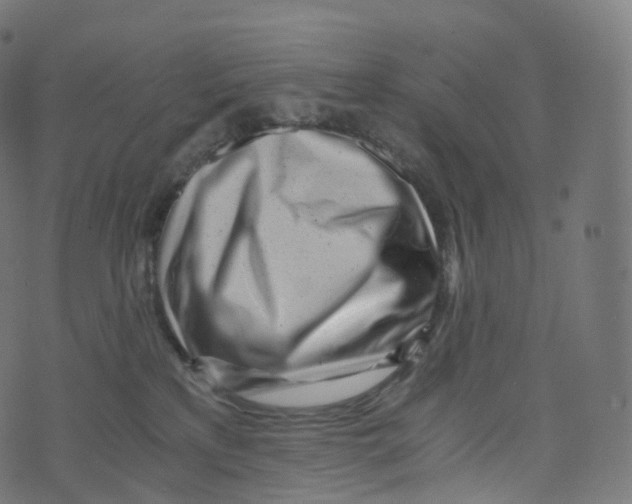 X0000073530233200608281559