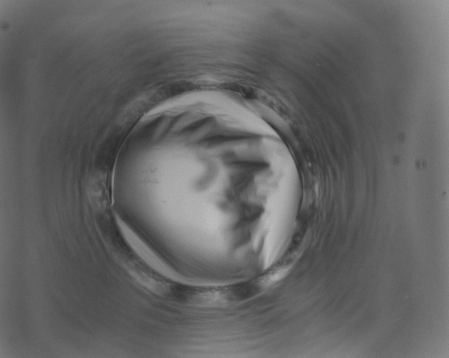 X0000073530237200608281559