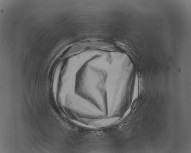 X0000073530243200608281558