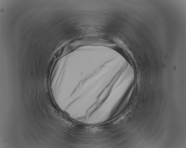 X0000073530249200608281559