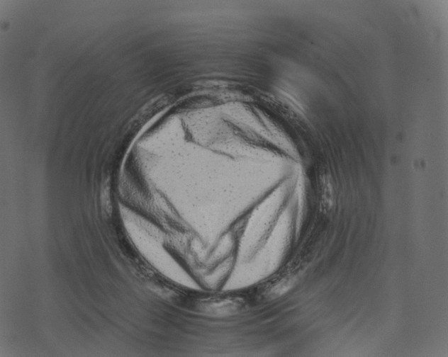 X0000073530267200608281559