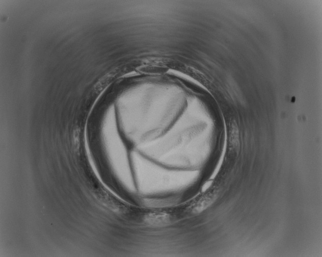 X0000073530271200608281559