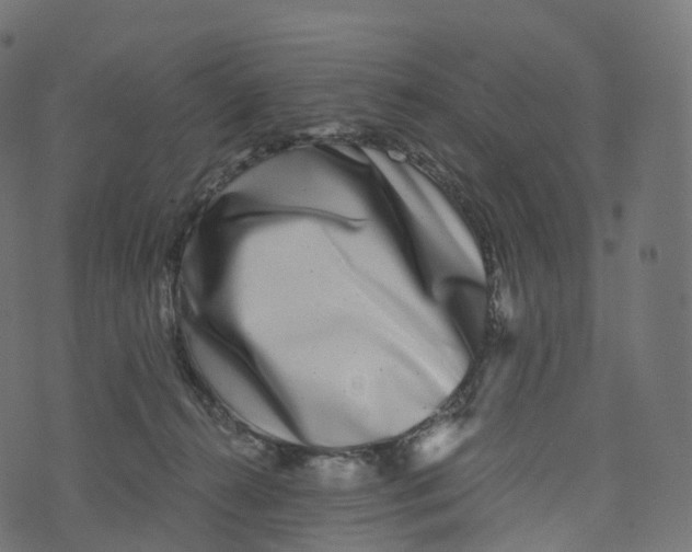 X0000073530272200608281559