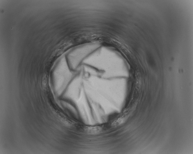 X0000073530277200608281559