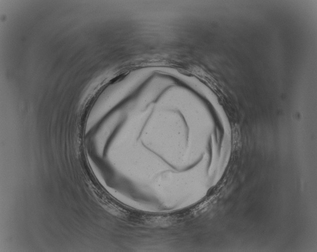 X0000073530293200608281558