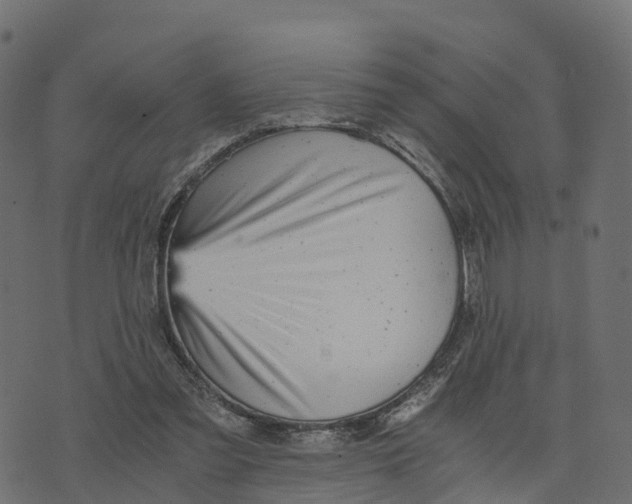 X0000073530301200608281558