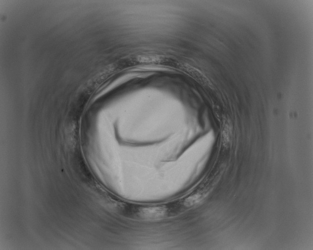 X0000073530319200608281558