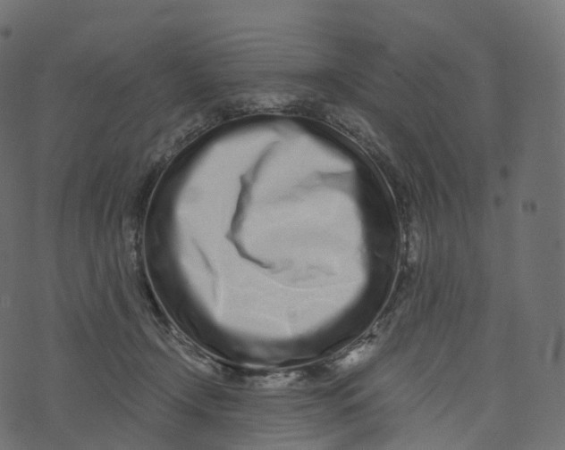 X0000073530366200608281557