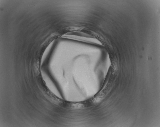 X0000073530376200608281557