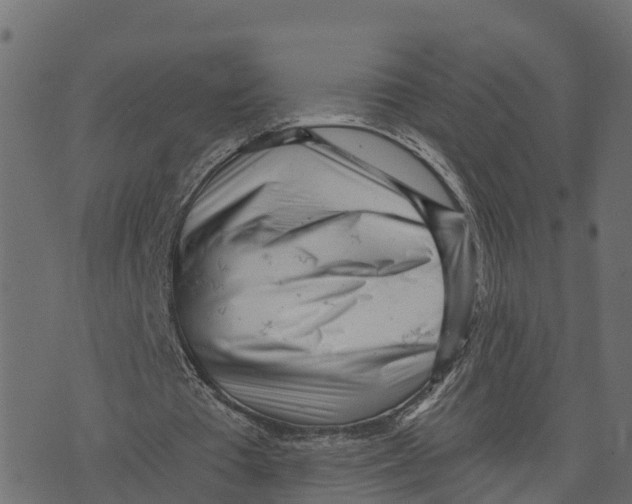 X0000073530385200608281557