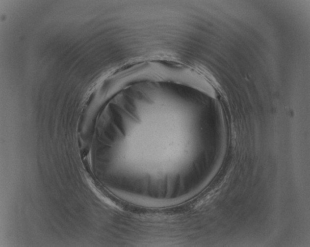 X0000073530389200608281557