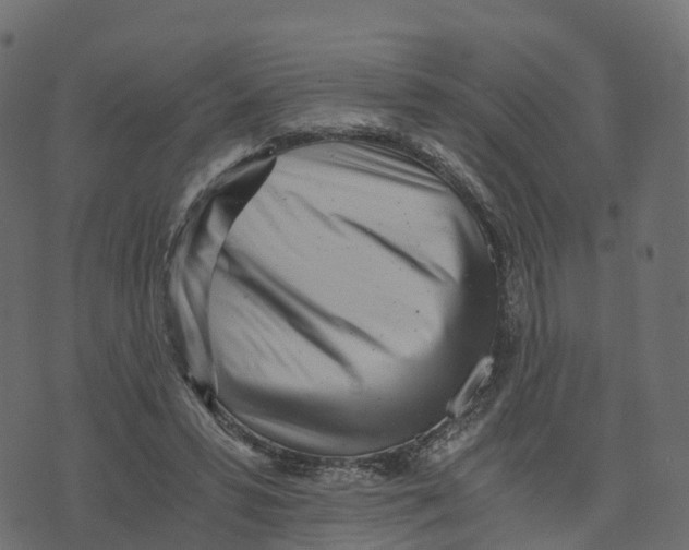 X0000073530399200608281557