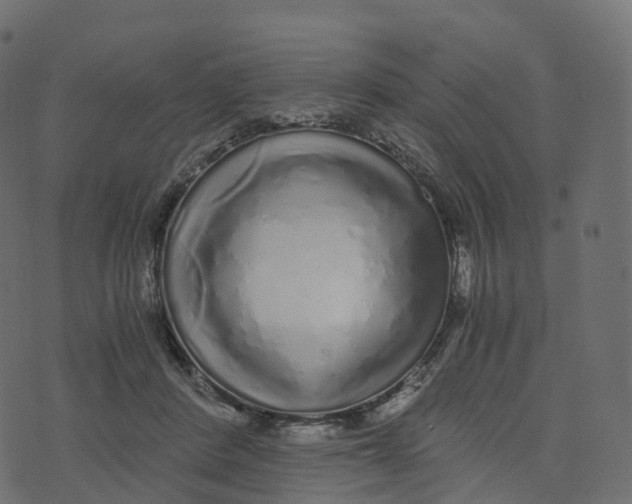 X0000073530408200608281556