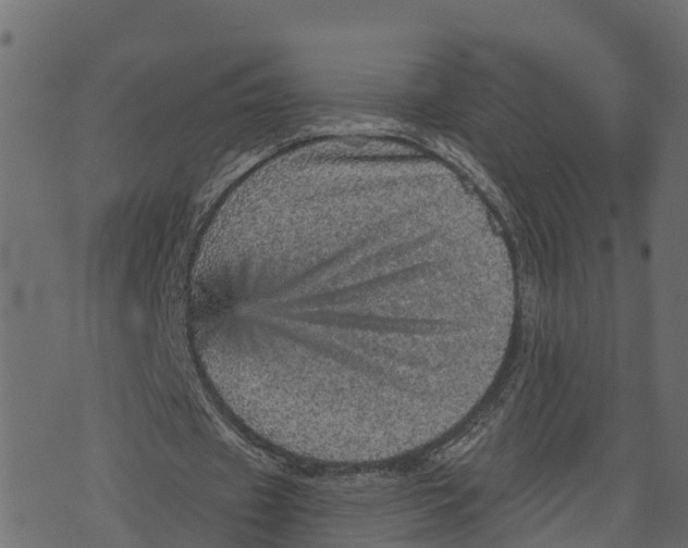 X0000073530433200608281555