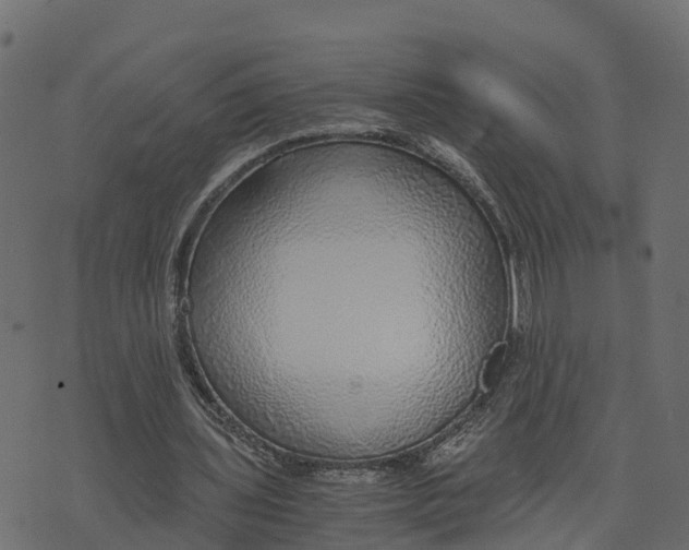 X0000073530435200608281555