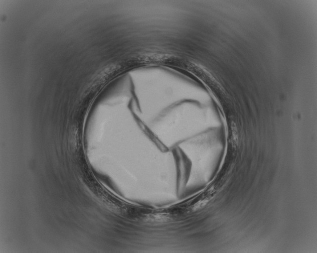 X0000073530451200608281556