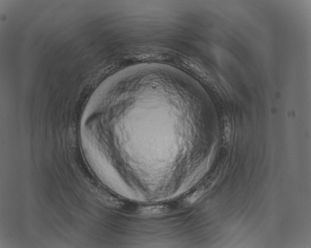 X0000073530461200608281556