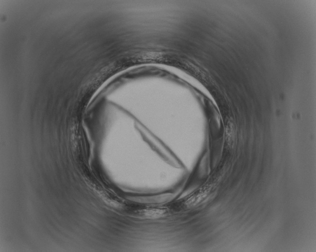 X0000073530462200608281556