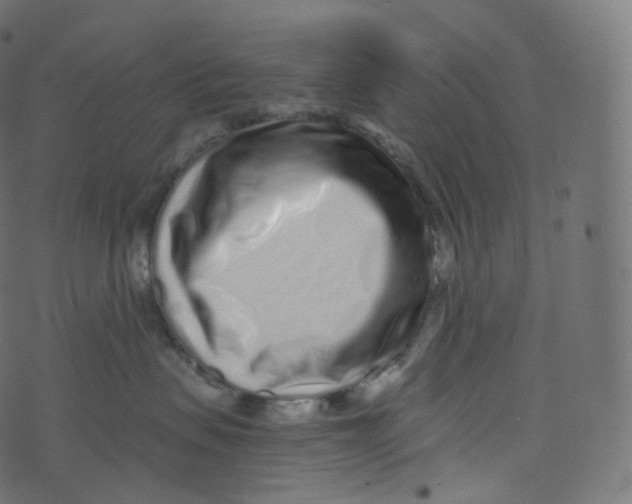 X0000073530479200608281556