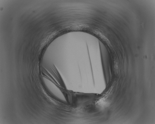 X0000073530493200608281555