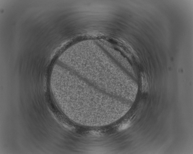 X0000073530496200608281555