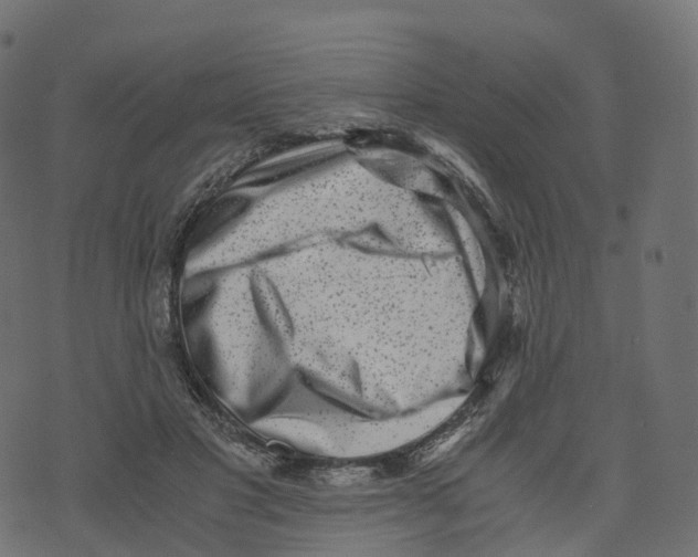 X0000073530501200608281555