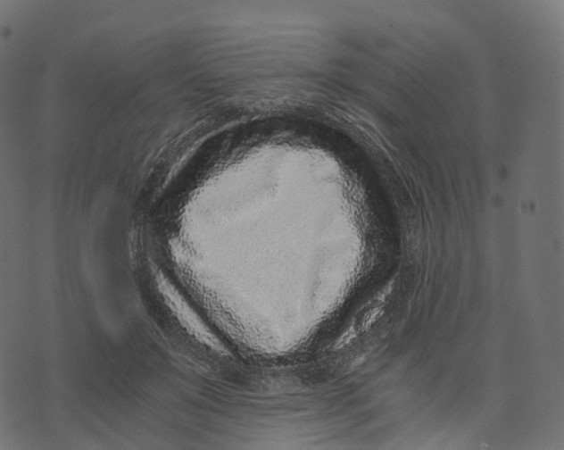 X0000073530503200608281555