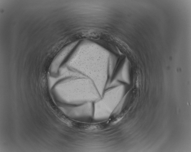 X0000073530513200608281555