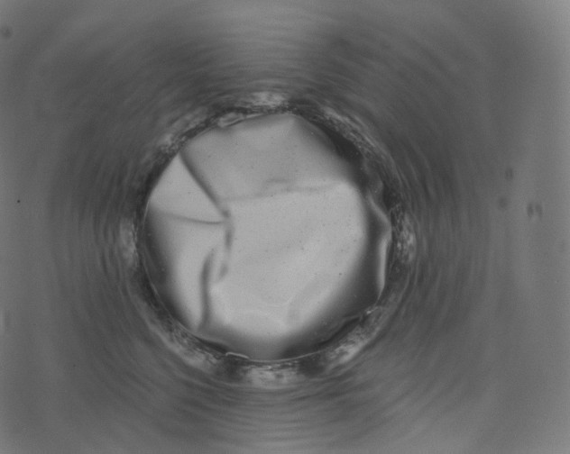 X0000073530568200608281554