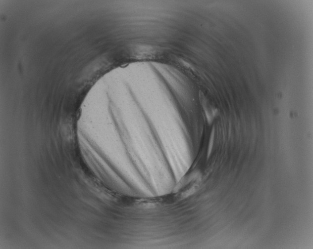 X0000073530620200608281553