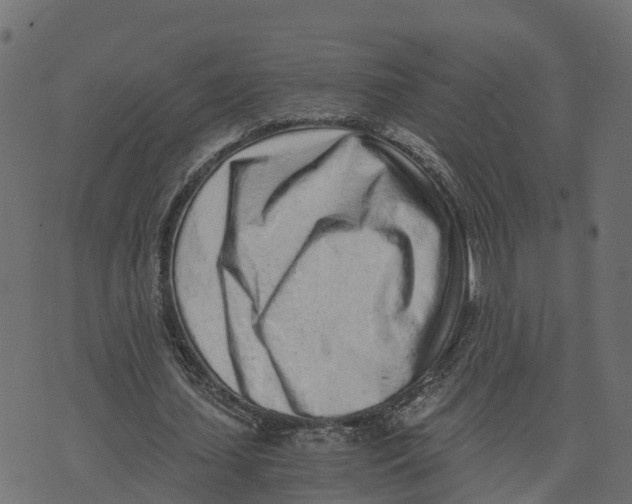 X0000073530627200608281552