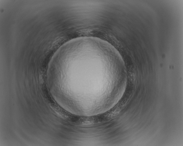 X0000073530658200608281553