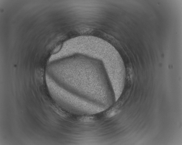 X0000073530664200608281553