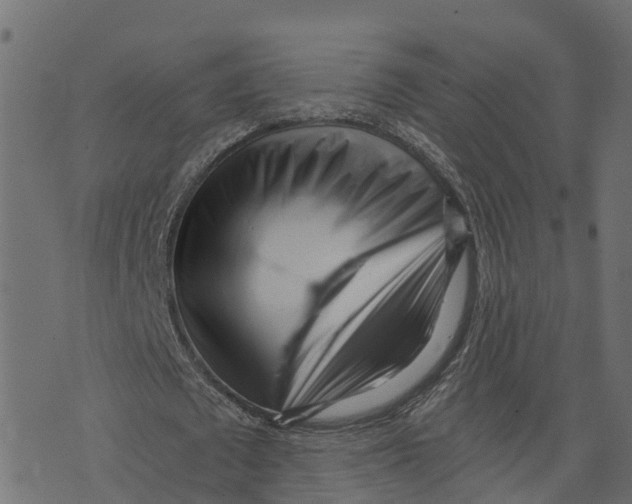 X0000073530673200608281552