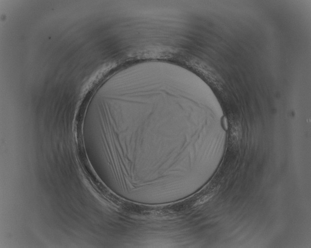 X0000073530678200608281552