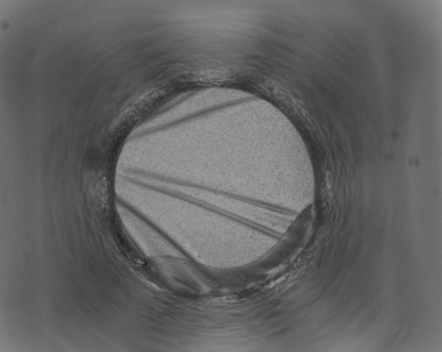 X0000073530689200608281552